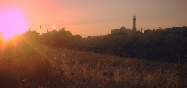 campaign image