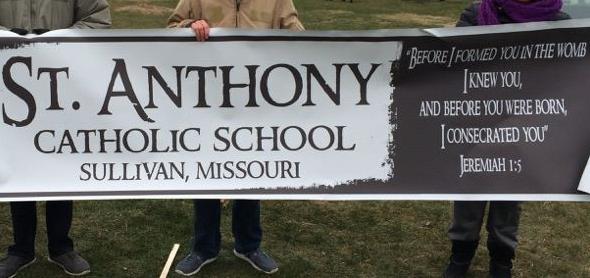 campaign image