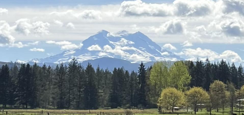 campaign image